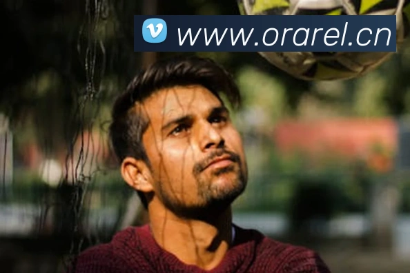 开云kaiyun网页版平台生态图